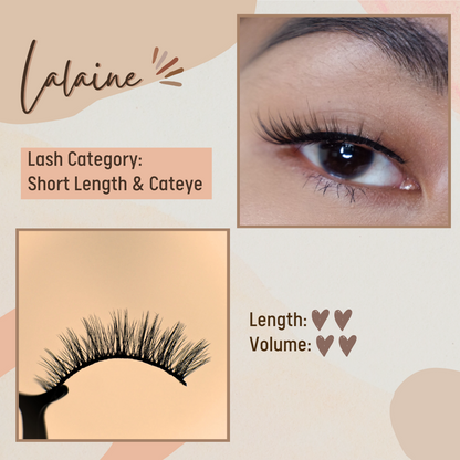 Pribelika Classic Lash Kit